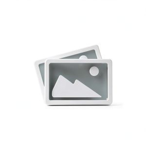 Aver 4K Dual Lens PTZ Camera Smart Gallery Conferencing-0